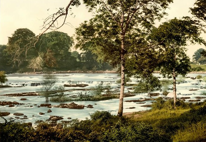 Rapids and Rods