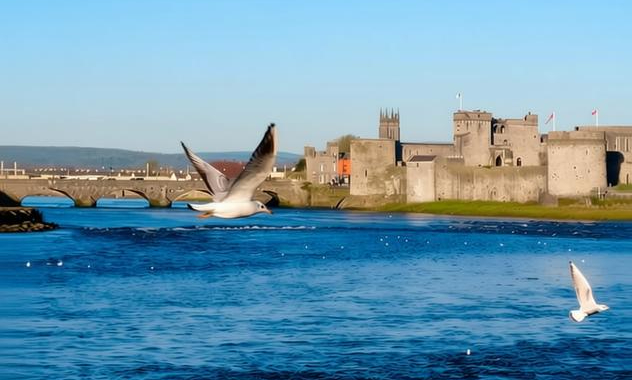 Limerick Origins