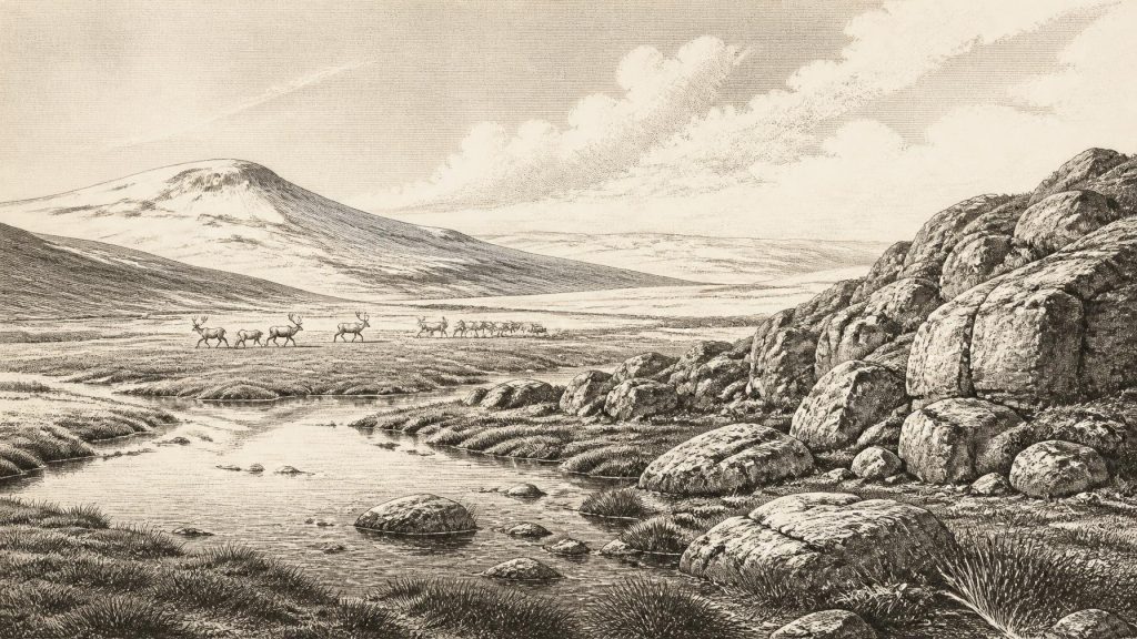 Awbeg Reindeer Corridor