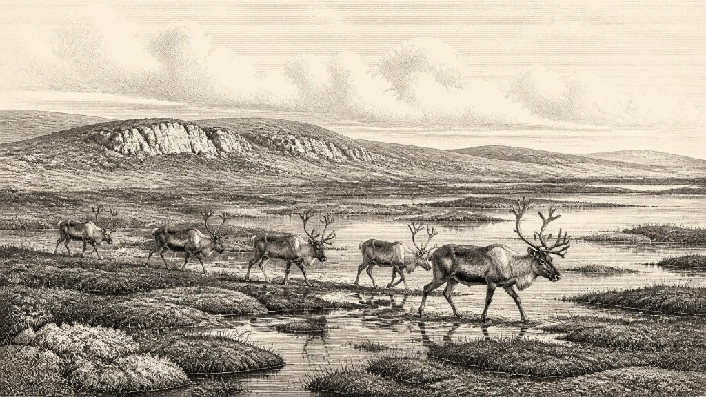 Awbeg Valley Bone Trail