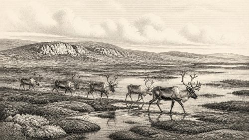 Awbeg Valley Bone Trail