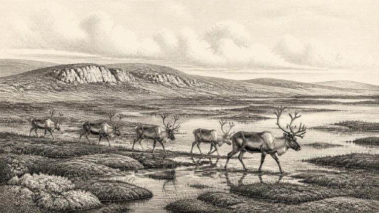 Awbeg Valley Bone Trail