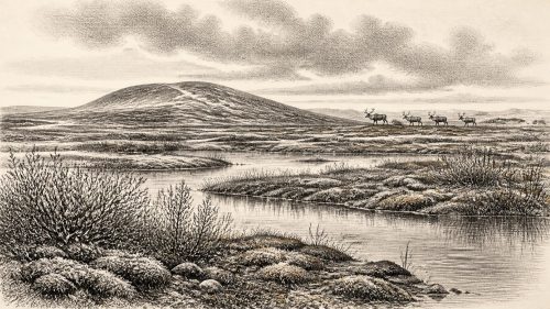 BIRM-166’s Drumlin Silt
