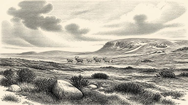 Before the Great Ice