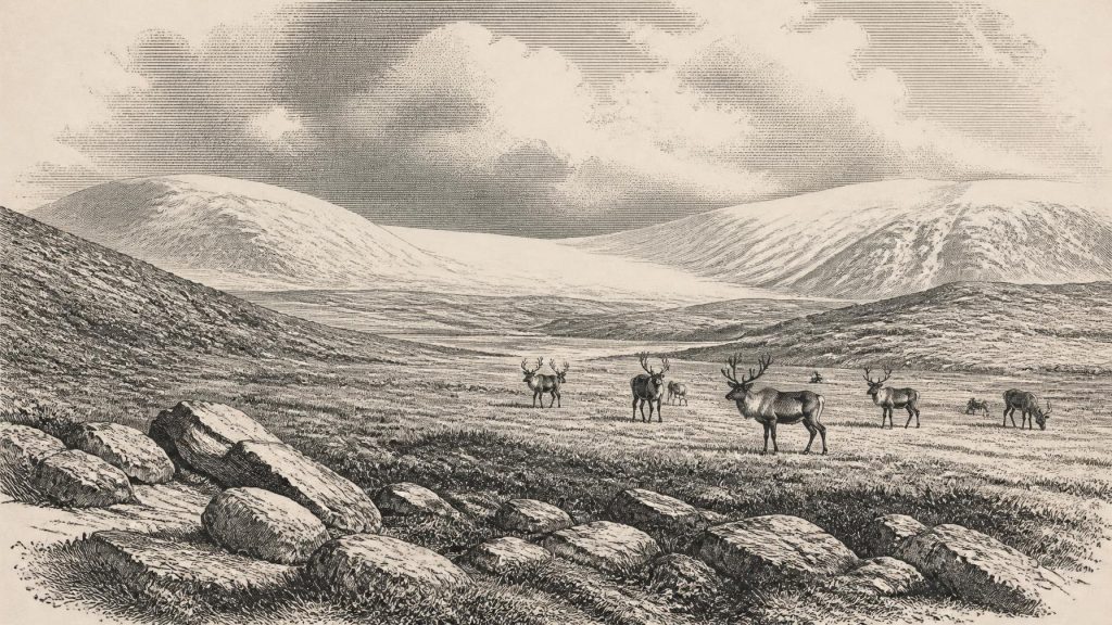 Before the Great Ice