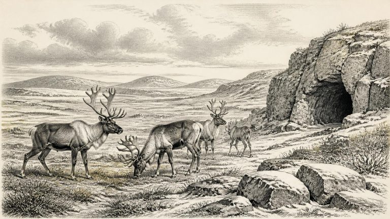 Before the Ice Sheet