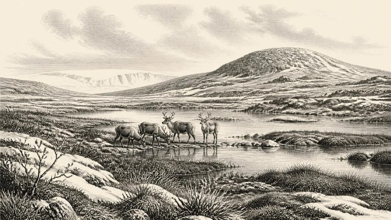Castlepook and the Buried Wetland