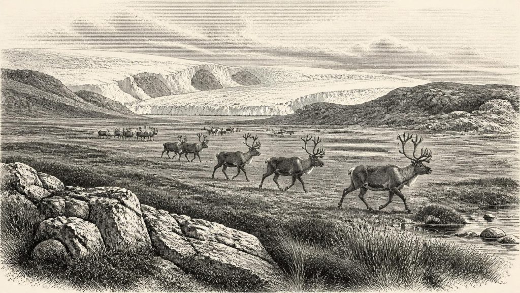 Castlepook and the Growing Ice