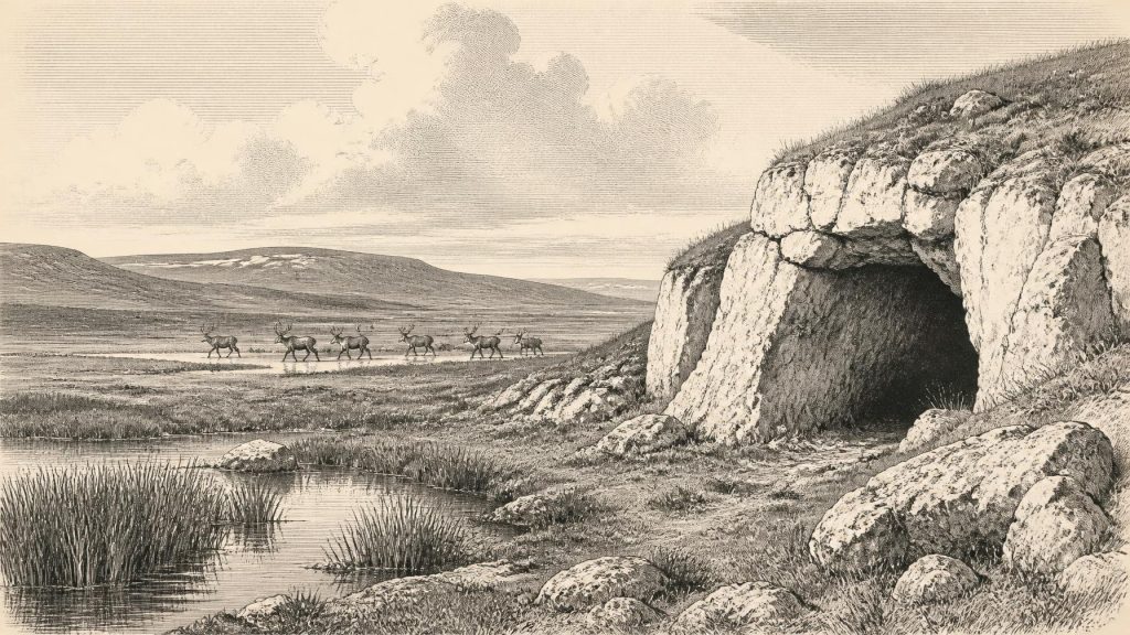 Castlepook’s Cutmark