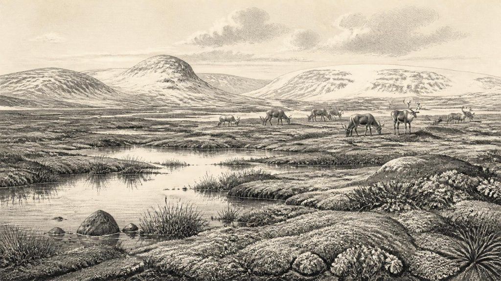 Castlepook’s Lone Toolmark