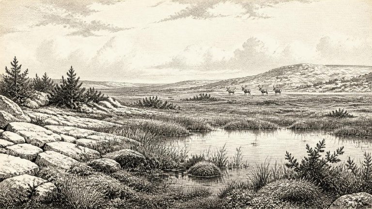 Castlepook’s Palaeolithic Incision