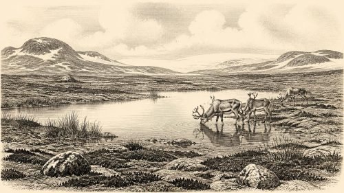 Derryvree’s Aquatic Tundra