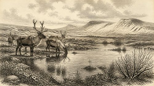 Derryvree’s Buried Pond