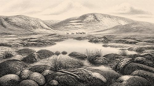 Derryvree’s Buried Poolscape