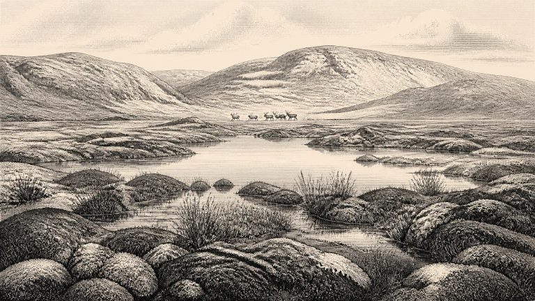 Derryvree’s Buried Poolscape