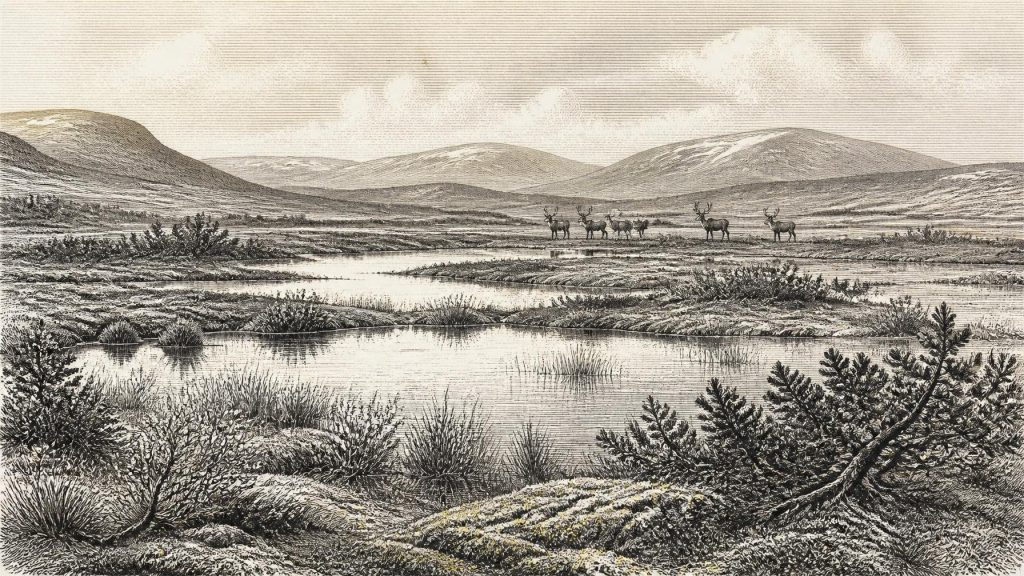 Derryvree’s Calendarless Wetland