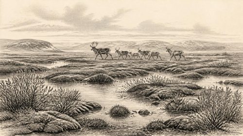 Derryvree’s Coldwater Silt