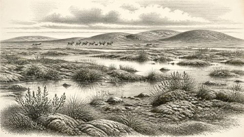 Derryvree’s Freshwater Beds