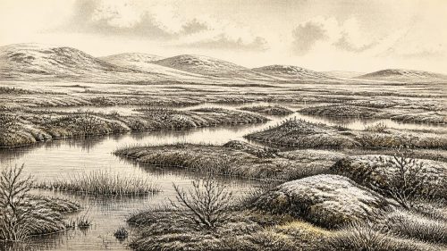 Derryvree’s Frozen Waterline