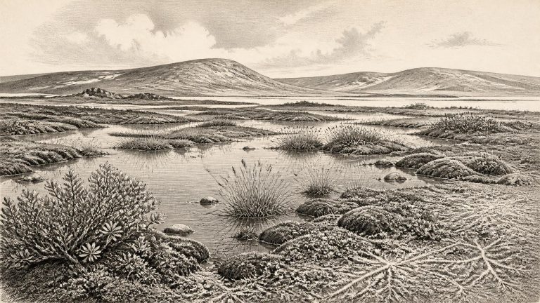 Derryvree’s GI-5.2 Wetland