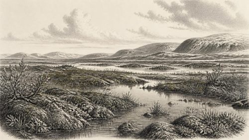 Derryvree’s Moss-Rich Interval