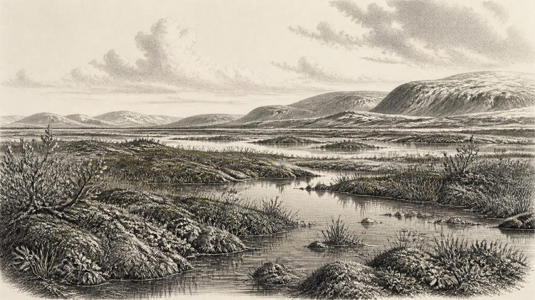 Derryvree’s Moss-Rich Interval