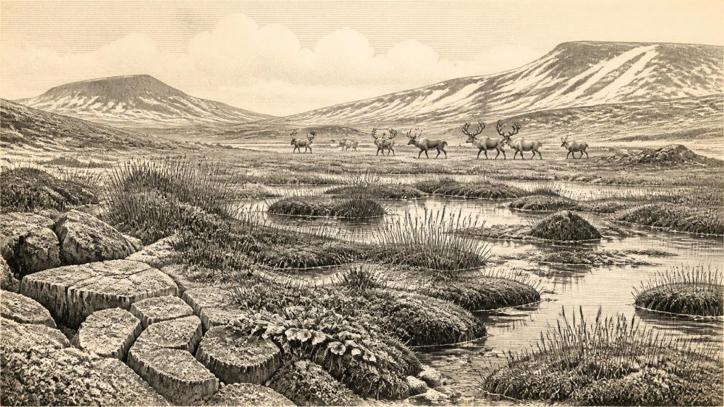 Derryvree’s Periglacial Wetland