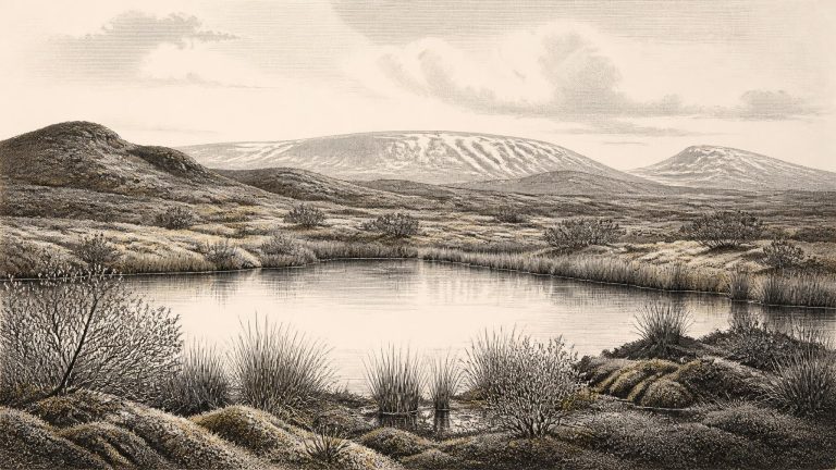 Derryvree’s Sedgebank