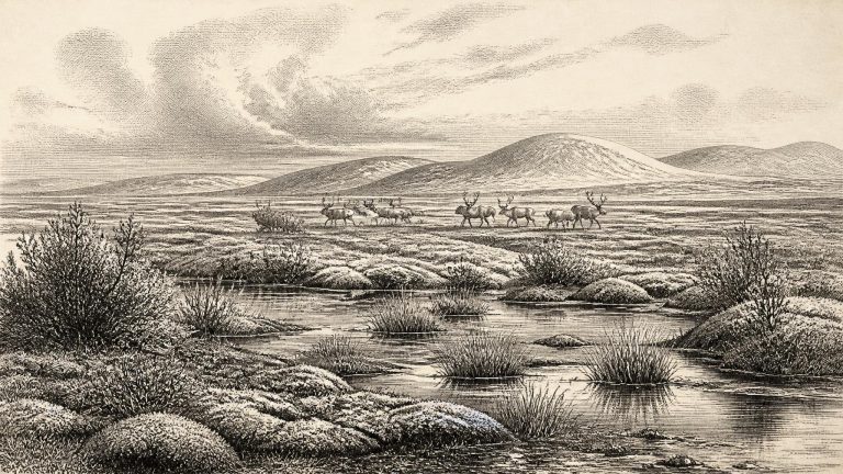 Derryvree’s Silt-Bound Tundra