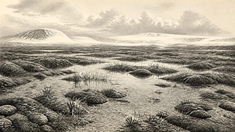 Derryvree’s Tundra Census