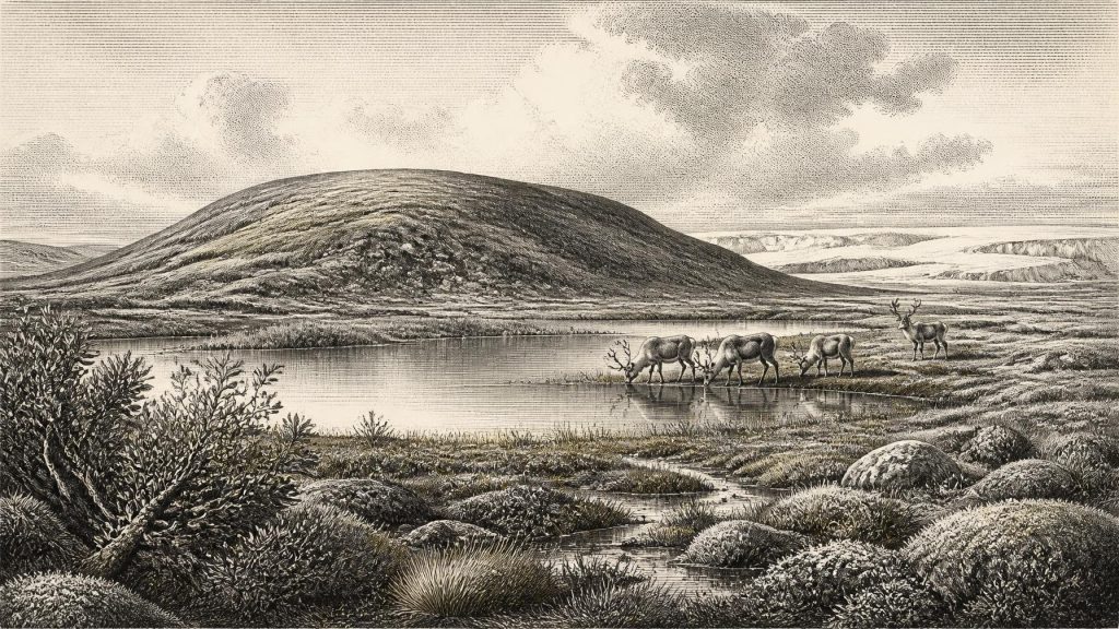Derryvree’s Willow and Moss