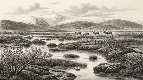 Doneraile’s Possible Palaeolithic