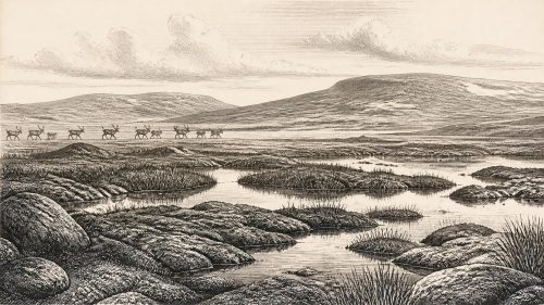 Fermanagh Between Two Ice Sheets