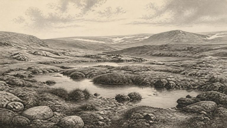 Fermanagh’s Freshwater Silts