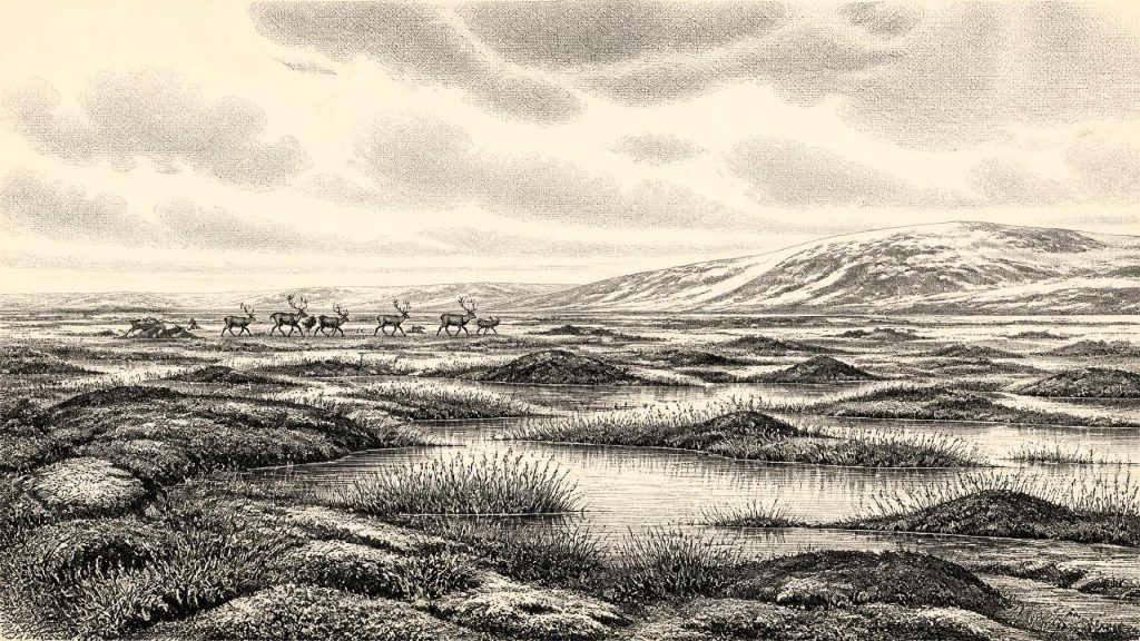Fermanagh’s Moss-and-Sedge Archive