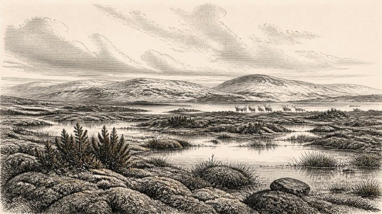 Fermanagh’s Mossy Pools
