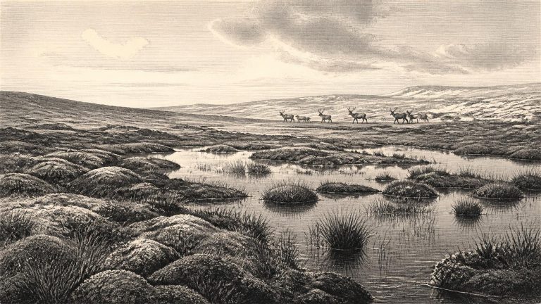 Greenagho’s Buried Fen