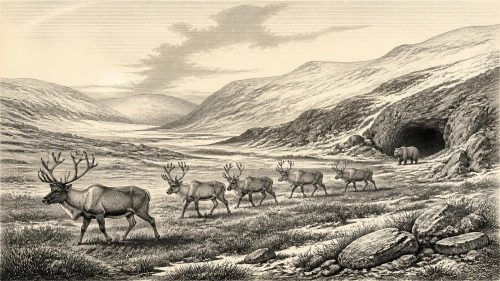 Ice Age Ireland