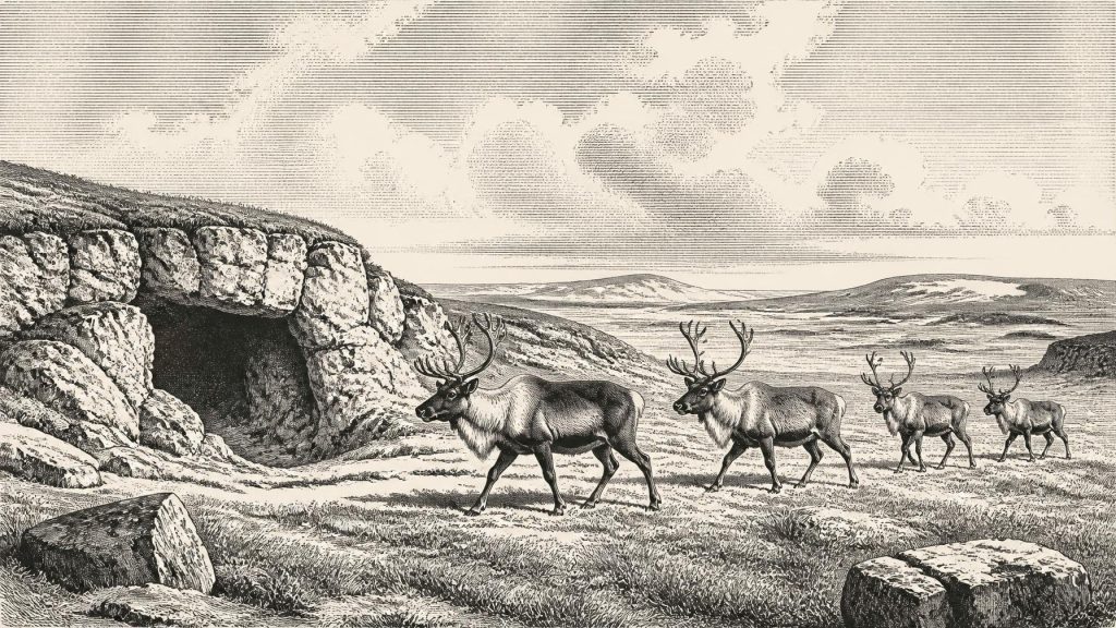 Ireland Before the Ice