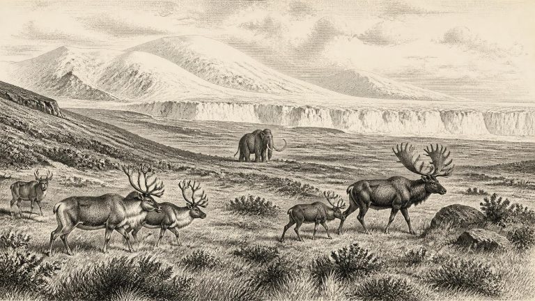 Ireland at the Ice Margin