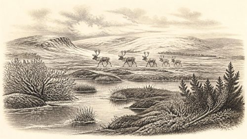 Maguirebridge’s Frostwater Basin