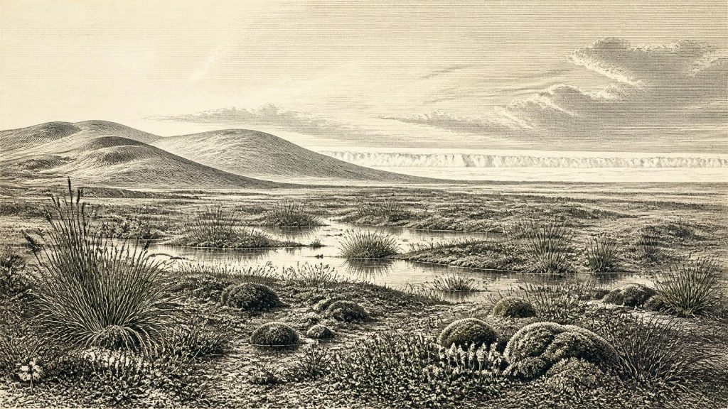 Maguirebridge’s Stadial Wetland