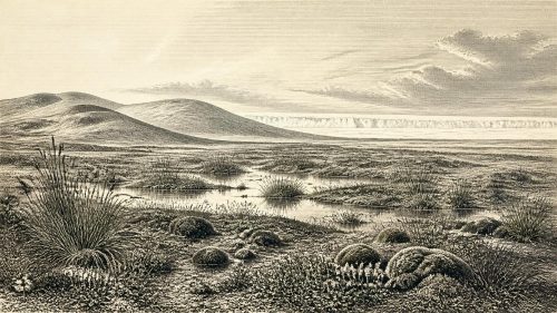 Maguirebridge’s Stadial Wetland