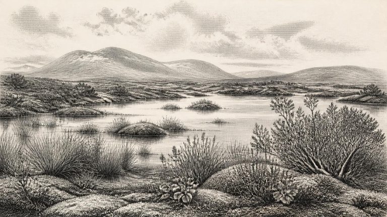 Maguiresbridge’s Milfoil Basin