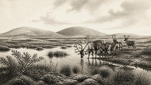 Mammoth Cave’s Reindeer Trace