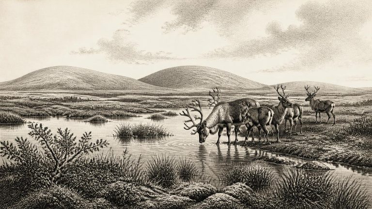 Mammoth Cave’s Reindeer Trace
