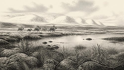 Sperrin Ice in Ascent