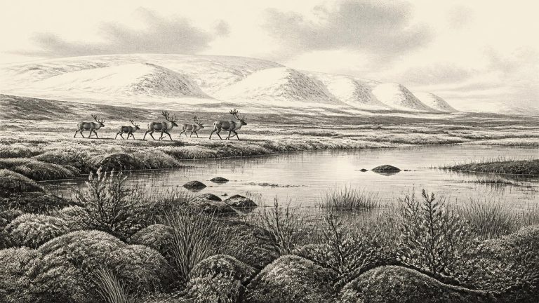 Sperrin Ice in Ascent