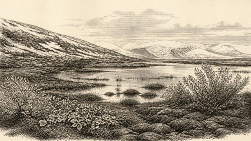 The Bogbean Basin