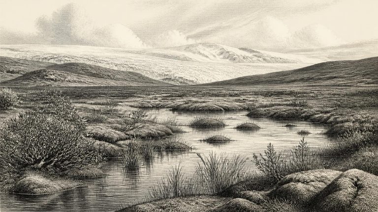 The Derryvree Sand Lens